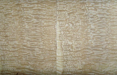 Placage en bois découpé en tranches de noeud naturel de coupe, placage en bois de cendre pour la décoration
