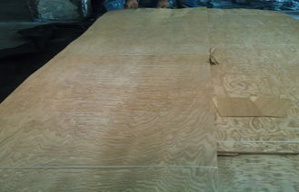 Placage en bois de noeud jaune de cendre, 0,50 millimètres de placage en bois naturel d'épaisseur