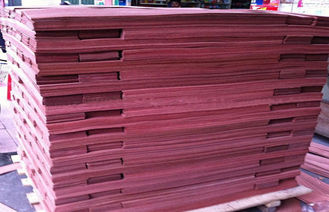 Feuille en bois rouge naturelle découpée en tranches de plancher de placage de Sapele de coupe pour des meubles