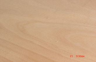 Placage rotatoire jaune de coupe d'Okoume pour les meubles et le contreplaqué