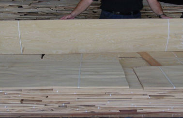 La tranche en bois de placage de cendre naturelle blanche a coupé l'épaisseur de 0.5mm pour le finissage intérieur