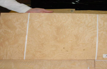La tranche en bois de placage de cendre naturelle blanche a coupé l'épaisseur de 0.5mm pour le finissage intérieur