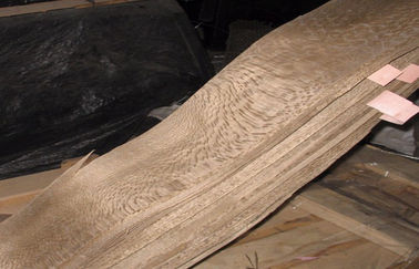 Stratifiés teints de chêne pour la décoration, éliminant le placage de tache