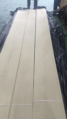 Coupe de couronne de feuille de faisceau de bois blanc américain en tranches naturelles pour contreplaqué