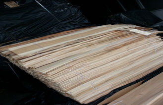 Les panneaux de plafond lissent le grain croisé coupé par couronne de placage de Birchwood