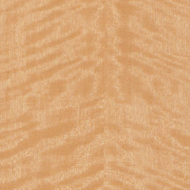 Placage en bois de bouleau de coupe de couronne d'or avec l'épaisseur de 0.5mm pour des panneaux de mur