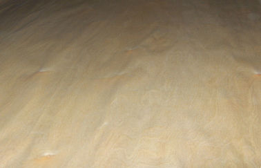 Placage en bois de bouleau de coupe de couronne d'or avec l'épaisseur de 0.5mm pour des panneaux de mur