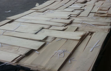 placage en bois découpé en tranches naturel d'érable de la Chine de coupe pour des meubles