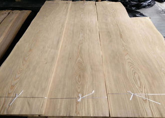 Stratifié en bois de couronne d'orme naturel environnemental de coupe avec l'épaisseur de 0.5mm