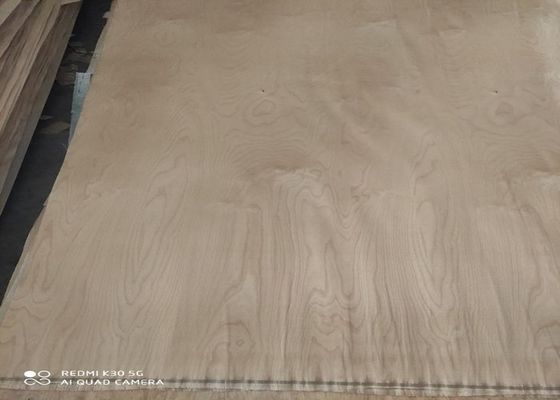 Rotatoire en bois de bouleau blanc de coupe de catégorie stratifié 0.18mm 0.22mm