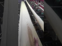 Ash Veneer blanc américain