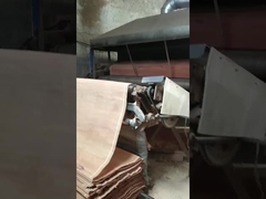 Feuille de placage en bois naturel PLB à coupe rotative