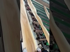 Coupe couronnée de faisceau d'orme