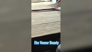 Placage coupé en couronne d'orme