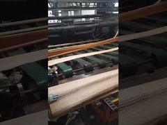 Veneur de chêne rouge