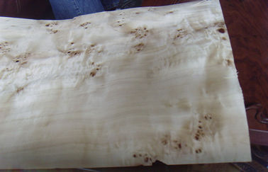 Coupe découpée en tranches par placage en bois plat de Burled, placage de construction de noeud de cendre
