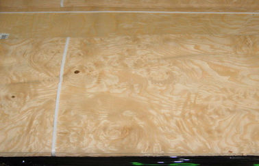 Placage en bois de noeud jaune de cendre pour les meubles, 0,5 millimètres d'épaisseur
