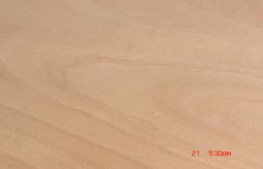 Placage rotatoire jaune d'Okoume de coupe pour le carton gris, 0,2 millimètres - 0,6 millimètres d'épaisseur
