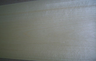 0,5 millimètres de placage coupé par couronne de bouleau blanc avec le grain jaune-clair