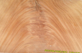 Fourche rouge de Mohagany de placage de coupe de couronne de Dard, placage en bois naturel