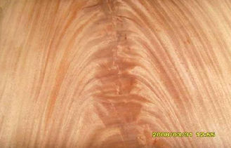 Fourche rouge de Mohagany de placage de coupe de couronne de Dard, placage en bois naturel