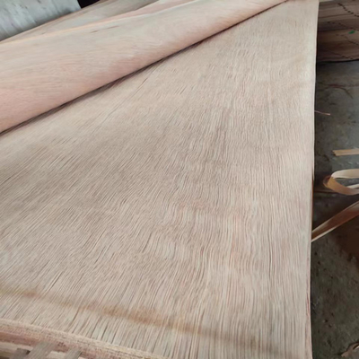 Stratifié rotatoire en bois naturel de la coupe PLB avec 0.15-0.3mm pour le contreplaqué
