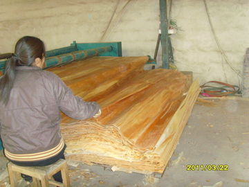 Placage en bois de bouleau de meubles