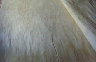 Blanc/placage en bois de coupe rotatoire bouleau de Brown, placage piqué d'érable