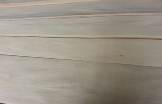 Stratifiés en bois minces intérieurs pour des Cabinets, bande de placage de bouleau
