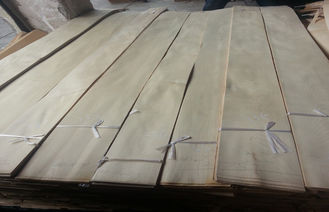 La catégorie d'aa a blanchi/la coupe rotatoire de placage en bois bouleau blanc de construction