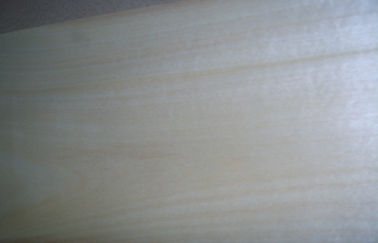 Décoration unilatérale de polissage de placage en bois de bouleau de haute catégorie avec la coupe rotatoire