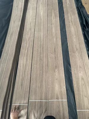Plaque de placage à coupe naturelle de noix noire américaine pour contreplaqué