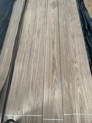 Plaque de placage à coupe naturelle de noix noire américaine pour contreplaqué