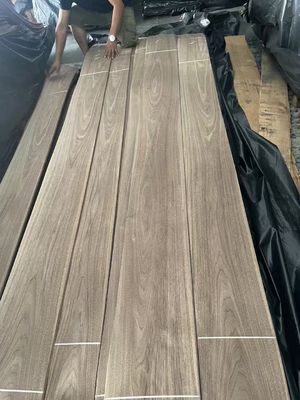 Plaque de placage à coupe naturelle de noix noire américaine pour contreplaqué