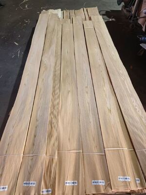 Brown Elm Crown Cut Veneer with 0.5mm Thickness for Hotel Decoration and Furniture