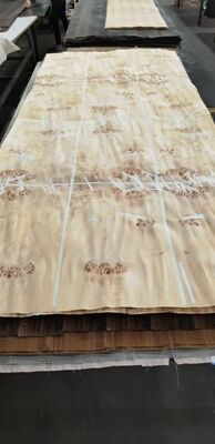 Planche de placage de loupe de Mappa en bois naturel avec coupe tranchée et 12-15% d'humidité pour la décoration de meubles