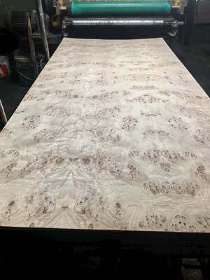 Planche de placage de loupe de Mappa en bois naturel avec coupe tranchée et 12-15% d'humidité pour la décoration de meubles