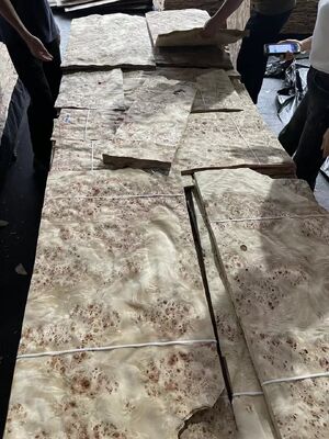 Feuilles de placage de ronce de Mappa coupées en tranches de 0,5 mm d'épaisseur pour la décoration d'hôtel