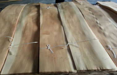 Placage en bois de couleur naturelle du bouleau deux de coupe découpé en tranches par carton gris machiné