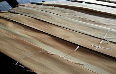 Placage en bois de couleur naturelle du bouleau deux de coupe découpé en tranches par carton gris machiné