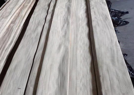 Le quart en bois naturel de Paldao a coupé le placage avec la ligne noire