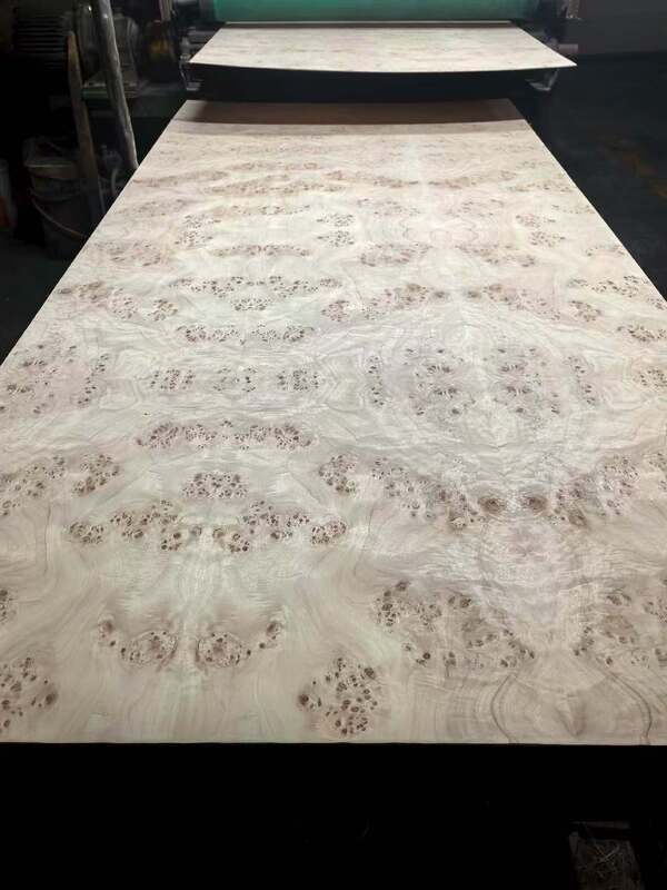 Feuilles de placage de ronce de Mappa coupées en tranches de 0,5 mm d'épaisseur pour la décoration d'hôtel
